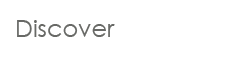 discover